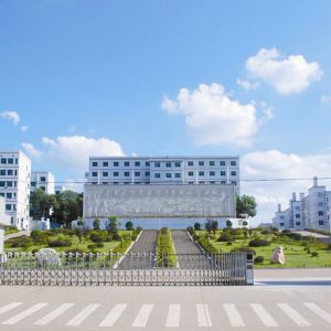 �������ĵĬF(xi��n)���������g