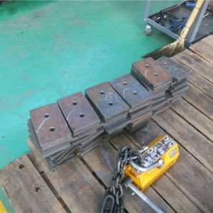 2018111102 ���������^