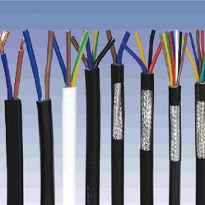 ������|����|���N��е�һ�N��ʲô�ǿ�����|��